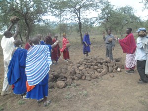 Men and women of Losimingori begin building #2 - teacher housing!